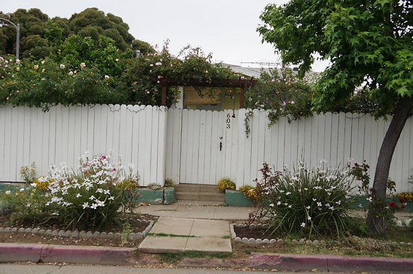 Rennie.Ave.So.Rose.189