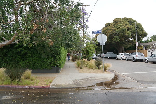Rennie.Ave.So.Rose.180