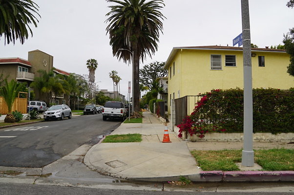 Rennie.Ave.So.Rose.176