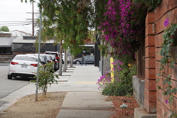 Rennie.Ave.So.Rose.21