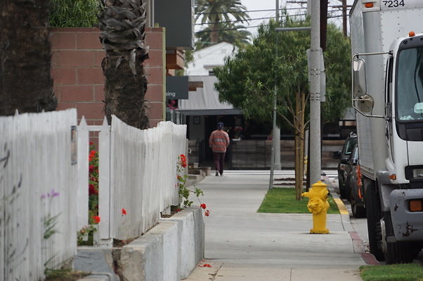 Rennie.Ave.So.Rose.37