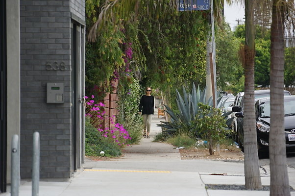 Rennie.Ave.So.Rose.07