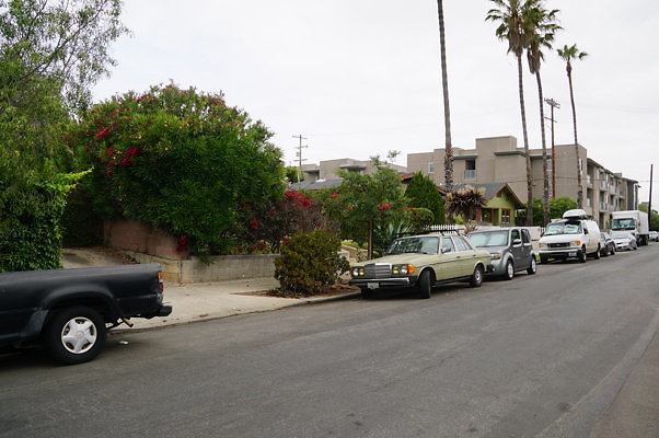 Rennie.Ave.So.Rose.34