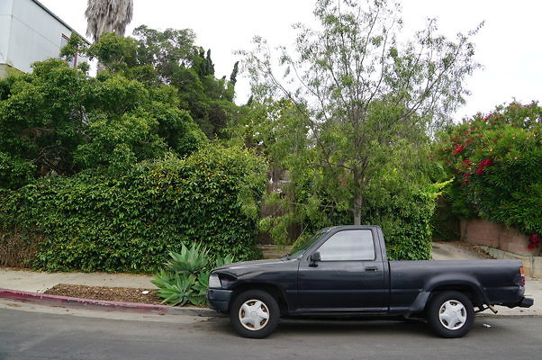 Rennie.Ave.So.Rose.33