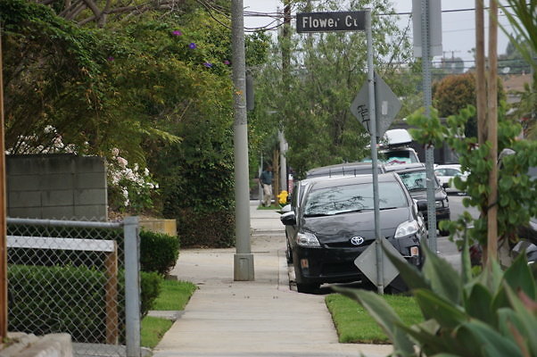 Rennie.Ave.So.Rose.175