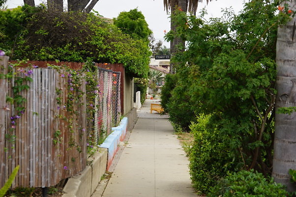 Rennie.Ave.So.Rose.30