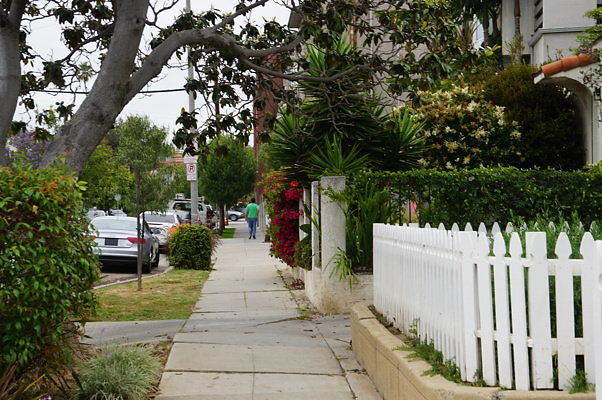 Rennie.Ave.So.Rose.44b.