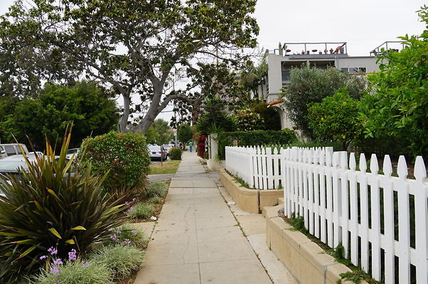 Rennie.Ave.So.Rose.44a.
