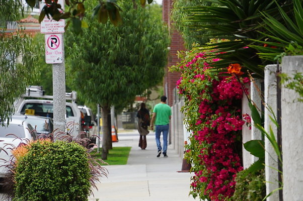 Rennie.Ave.So.Rose.44d.