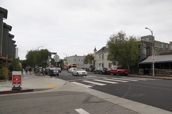 Rennie.Ave.So.Rose.10