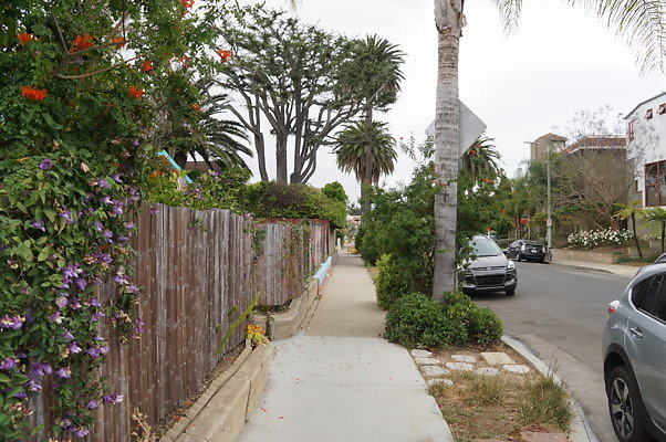 Rennie.Ave.So.Rose.29