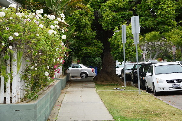 5th>Sunset.Ven.03 5th>Sunset.Ven.03