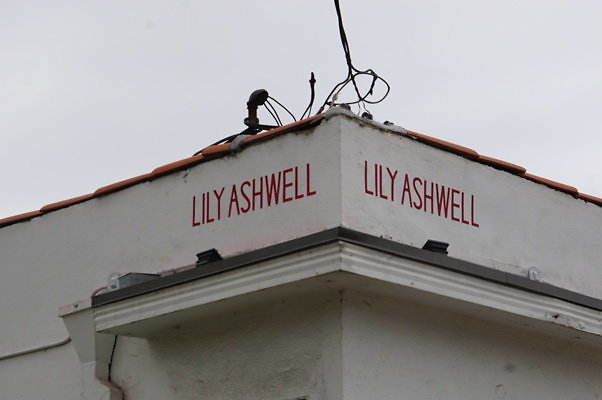 Lily.Ashwell.Rose.02