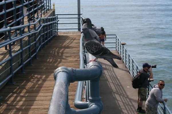 Santa.Monica.Pier.Area.129