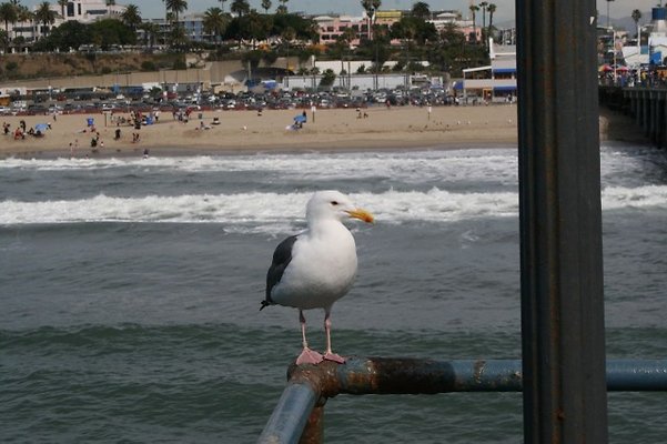 Santa.Monica.Pier.Area.137