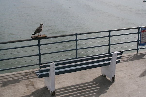 Santa.Monica.Pier.Area.92