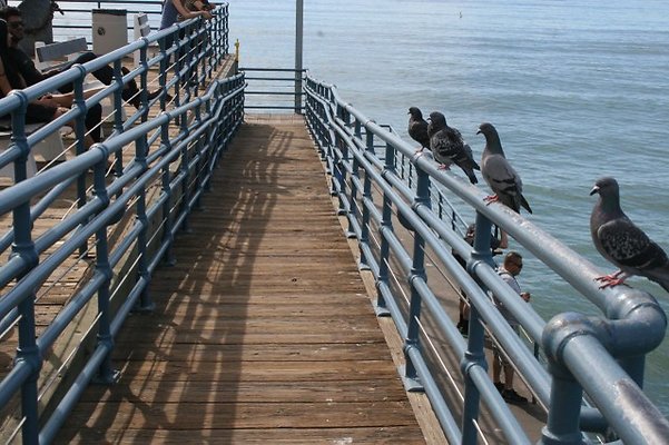 Santa.Monica.Pier.Area.130