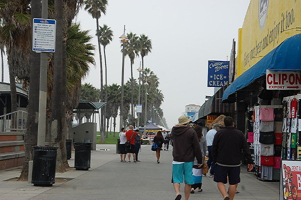 DSC 0319