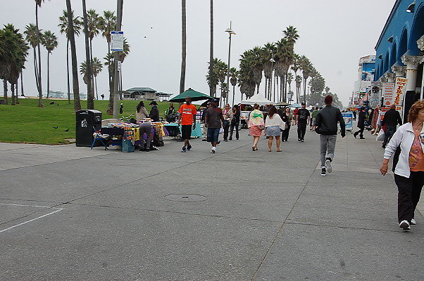 DSC 0339