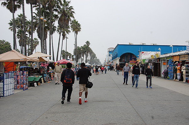 DSC 0334