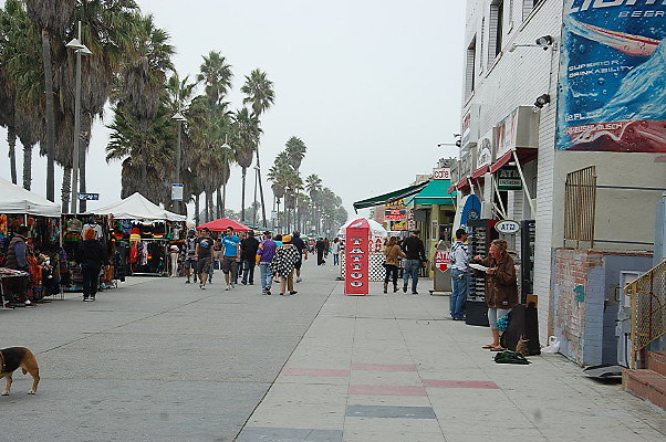 DSC 0367