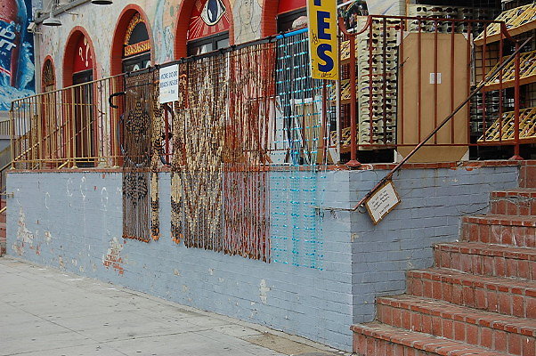 DSC 0365