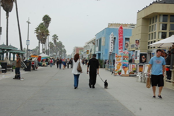 DSC 0375