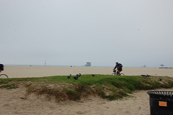 DSC 0391