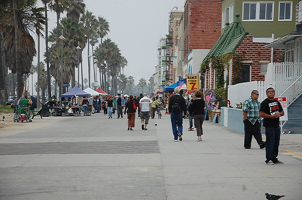 DSC 0388