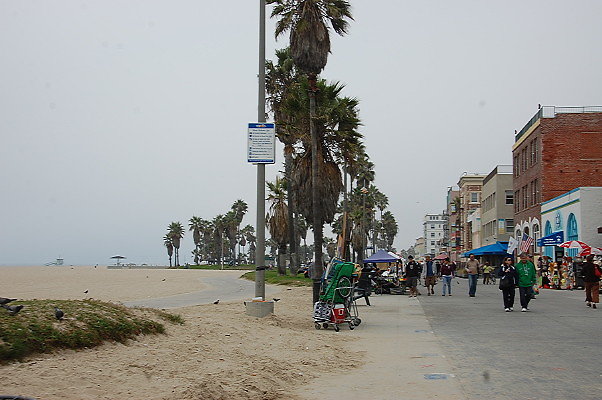 DSC 0392