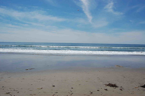 DSC 0033