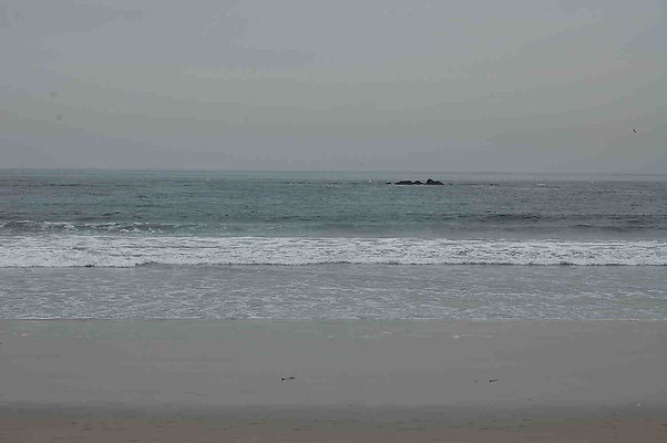 DSC 0041
