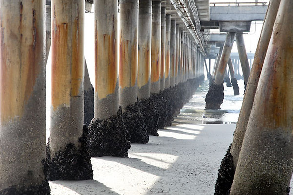 Venice.Beach.Pier.16