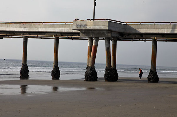 Venice.Beach.Pier.28