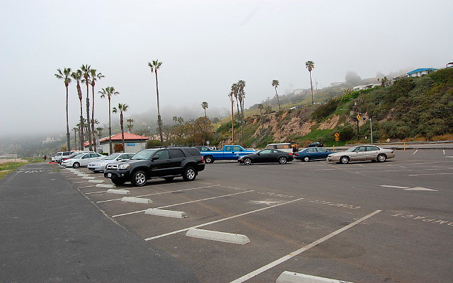DSC 0013 DSC 0013