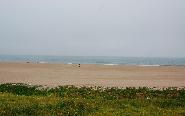 DSC 0005 DSC 0005