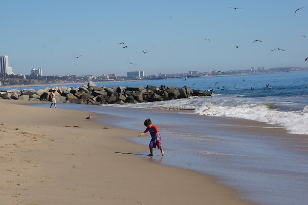 WIll Rogers.Beach.Towers.6.To.7.88