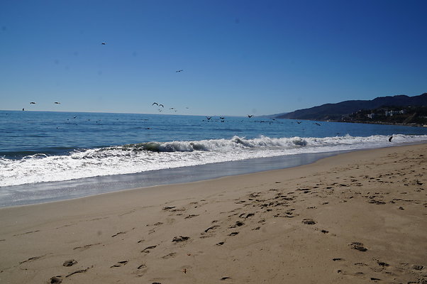 WIll Rogers.Beach.Towers.6.To.7.110