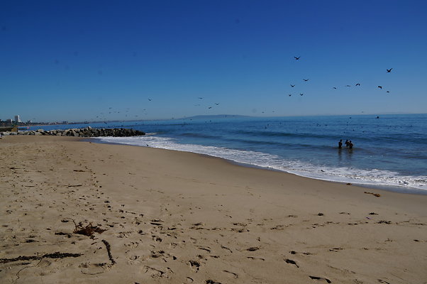 WIll Rogers.Beach.Towers.6.To.7.108