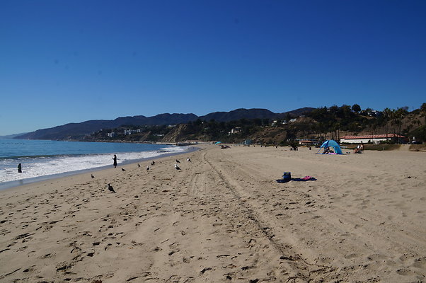 WIll Rogers.Beach.Towers.6.To.7.95