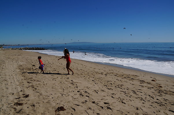 WIll Rogers.Beach.Towers.6.To.7.91