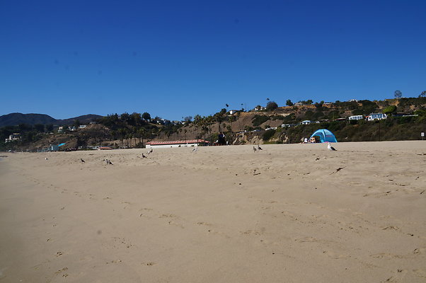 WIll Rogers.Beach.Towers.6.To.7.80