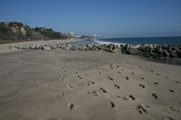 Will Rogers State Beach - Tower 10