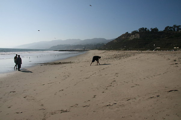 Will Rogers State Beach - Tower 14