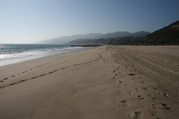 Will Rogers State Beach - Tower 12