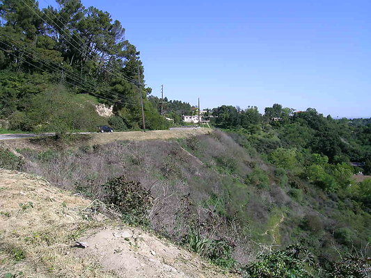 DSCN3296
