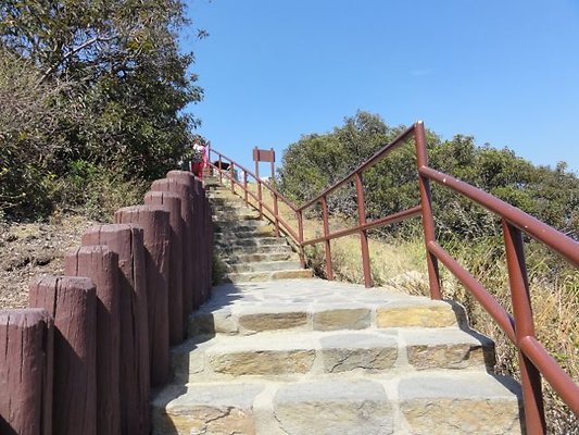 DSC08422