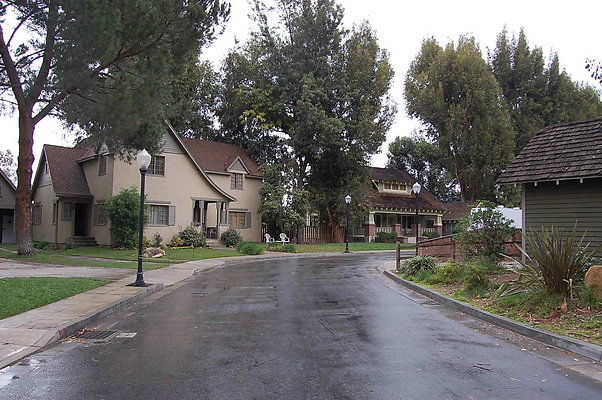 DSC 0091