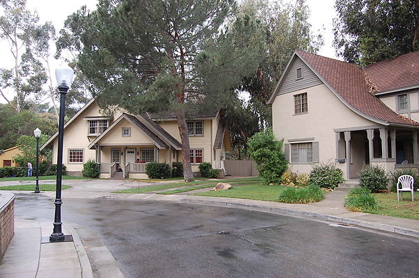 DSC 0098