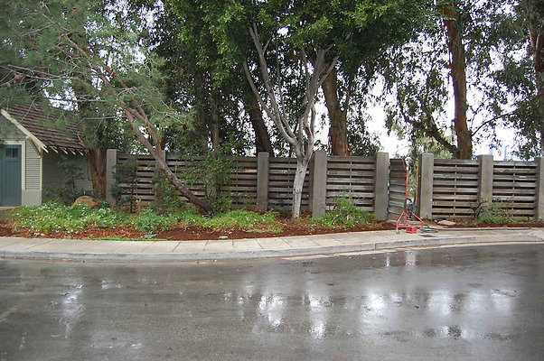 DSC 0113